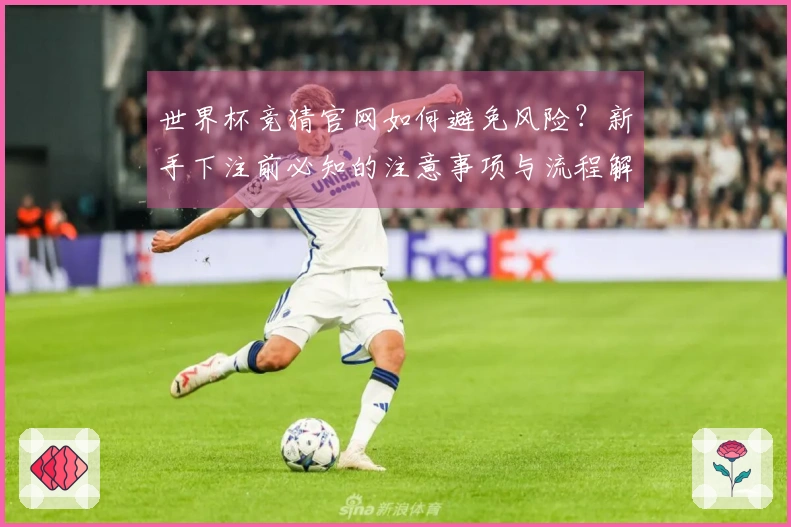 世界杯竞猜官网如何避免风险？新手下注前必知的注意事项与流程解析
