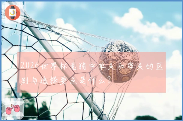 2026世界杯竞猜中单关和串关的区别与选择要点是什么？
