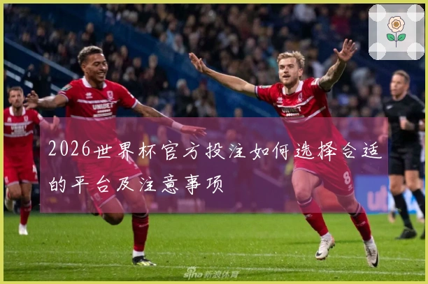 2026世界杯官方投注如何选择合适的平台及注意事项