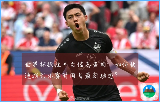 世界杯投注平台信息查询：如何快速找到比赛时间与最新动态？