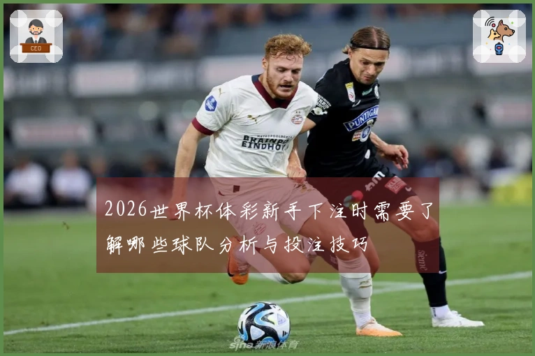 2026世界杯体彩新手下注时需要了解哪些球队分析与投注技巧