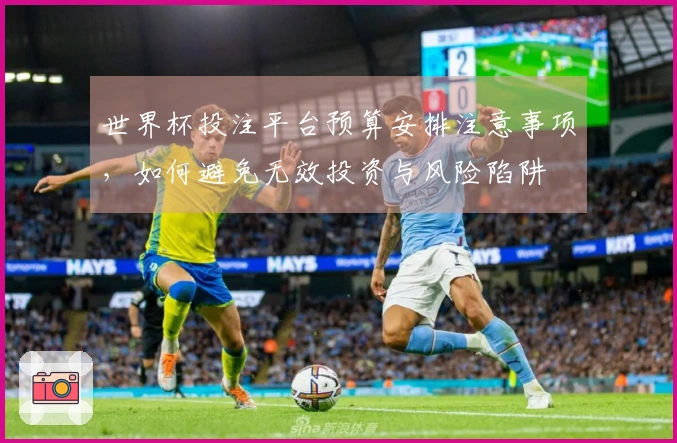 世界杯投注平台预算安排注意事项，如何避免无效投资与风险陷阱