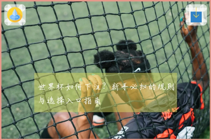 世界杯如何下注？新手必知的规则与选择入口指南