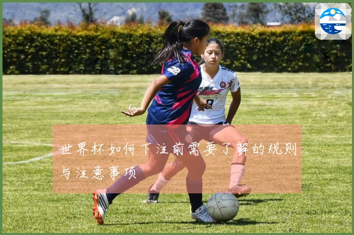 世界杯如何下注前需要了解的规则与注意事项