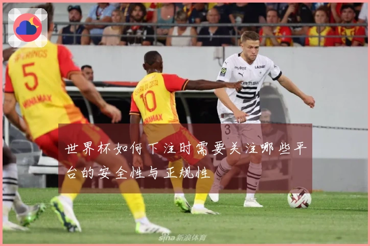 世界杯如何下注时需要关注哪些平台的安全性与正规性