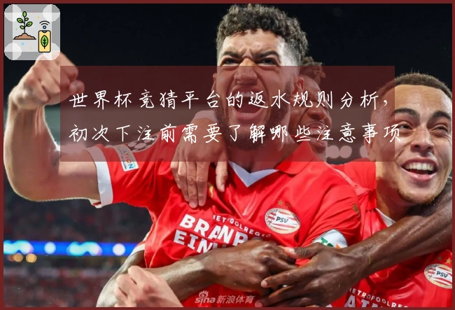 世界杯竞猜平台的返水规则分析，初次下注前需要了解哪些注意事项