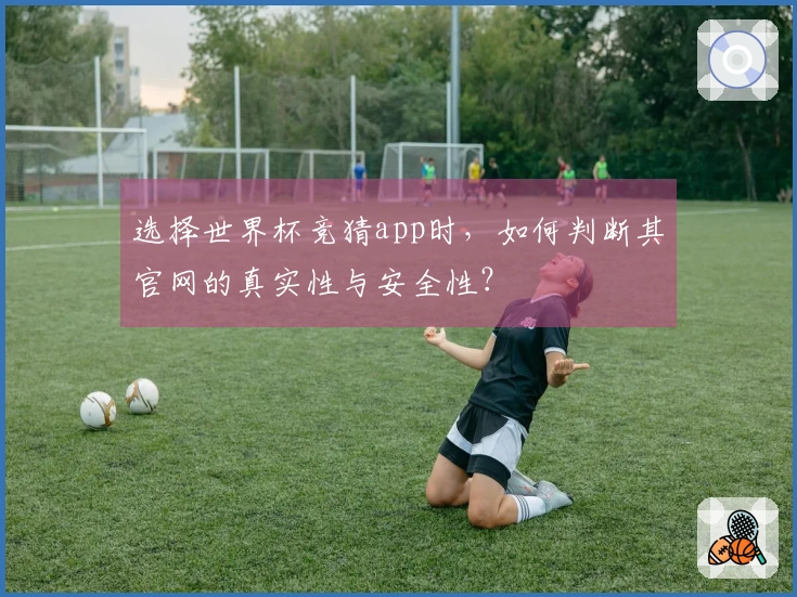 选择世界杯竞猜app时，如何判断其官网的真实性与安全性？