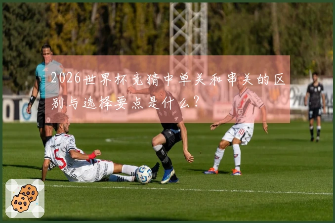2026世界杯竞猜中单关和串关的区别与选择要点是什么？