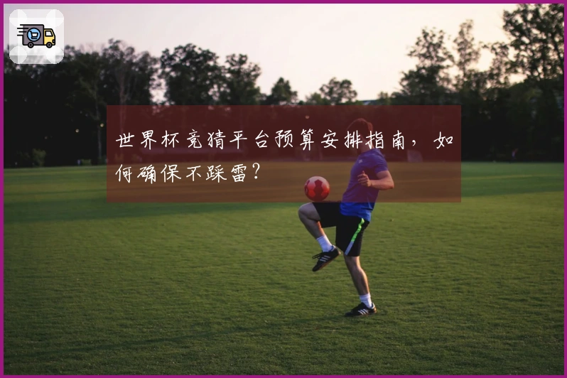 世界杯竞猜平台预算安排指南，如何确保不踩雷？