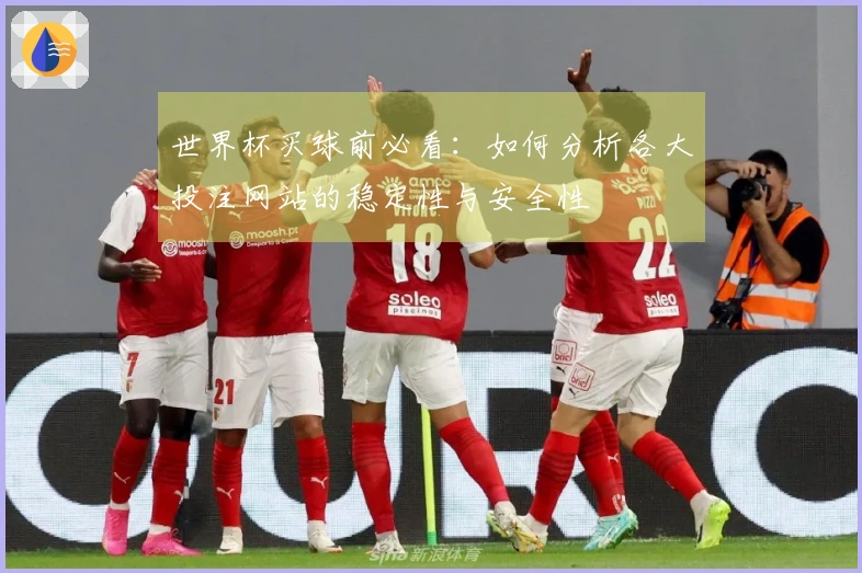 世界杯买球前必看：如何分析各大投注网站的稳定性与安全性