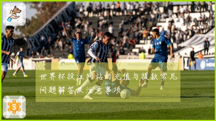 世界杯投注网站的充值与提款常见问题解答及注意事项