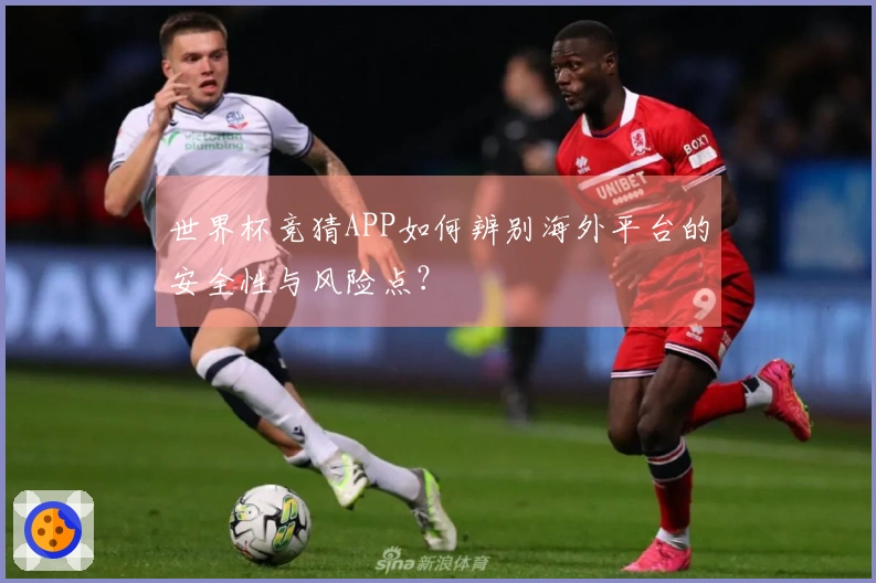 世界杯竞猜APP如何辨别海外平台的安全性与风险点？