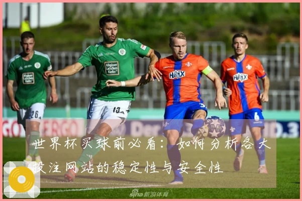 世界杯买球前必看：如何分析各大投注网站的稳定性与安全性