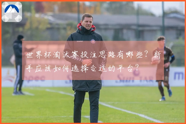 世界杯淘汰赛投注思路有哪些？新手应该如何选择合适的平台？