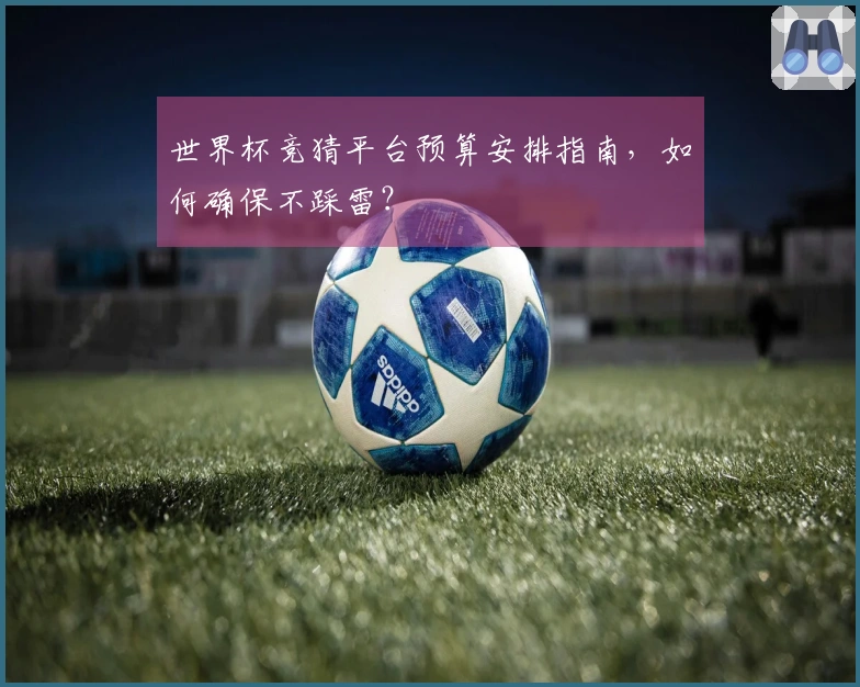 世界杯竞猜平台预算安排指南，如何确保不踩雷？