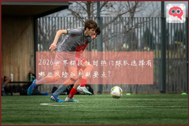 2026世界杯投注时热门球队选择有哪些风险和判断要点？