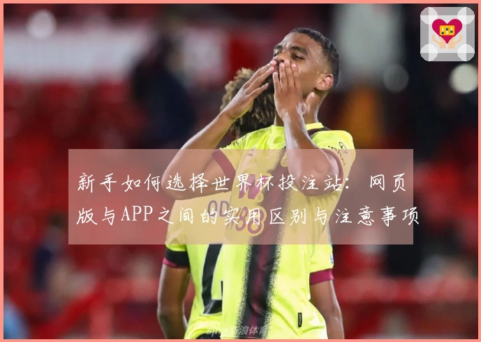 新手如何选择世界杯投注站：网页版与APP之间的实用区别与注意事项