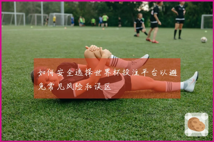 如何安全选择世界杯投注平台以避免常见风险和误区