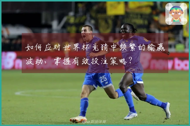 如何应对世界杯竞猜中频繁的输赢波动，掌握有效投注策略？