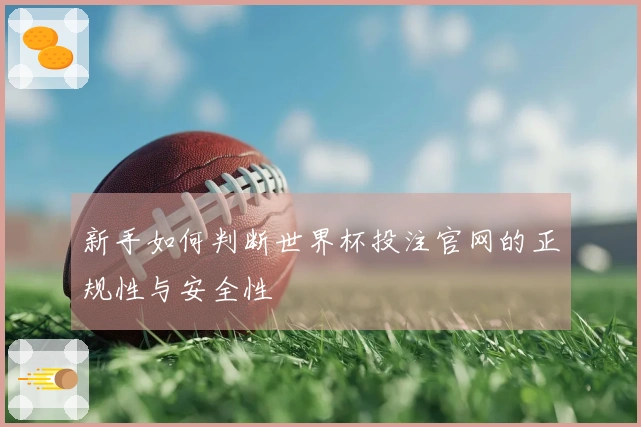 新手如何判断世界杯投注官网的正规性与安全性